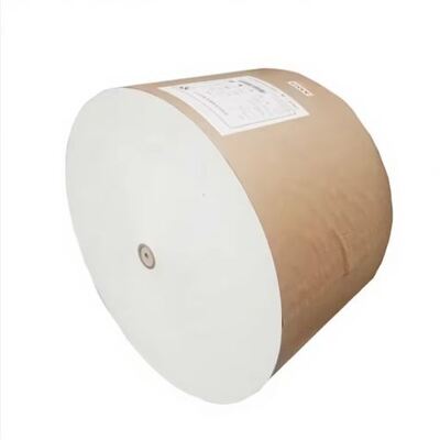 kopen Waterbestendige PE-gecoate papieren rol geschikt voor papieren bekers en voedselverpakkingsdozen online manufacture