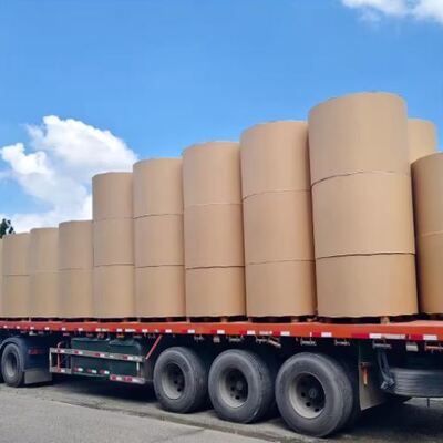 comprar Rolo de Papel Revestido de PE de 6oz-12oz, Revestimento Simples e Duplo online manufacture