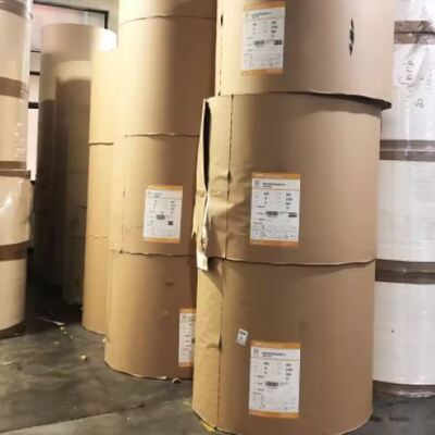 kopen Aanpasbare PE-gecoate papierrol Offsetprinting Hoge oliebestendigheid voor take-away kopjes online manufacture