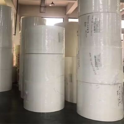 comprare Rulli di carta rivestita in PE a parete singola o doppia per la fabbricazione di tazze da tè e tazze da caffè usa e getta online manufacture