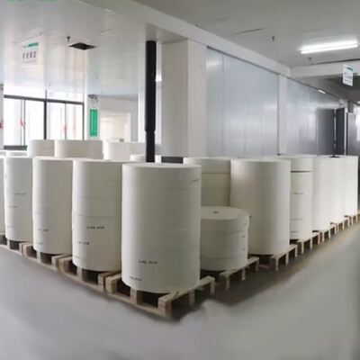 Mua Giấy cuộn tráng PE phân hủy sinh học, tráng một hoặc hai mặt, có thể chấp nhận online manufacture