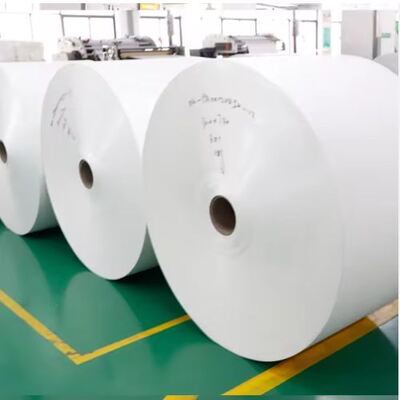 kupować Wodoodporna rolka papieru powlekanego PE do druku offsetowego, izolacja termiczna online manufacture