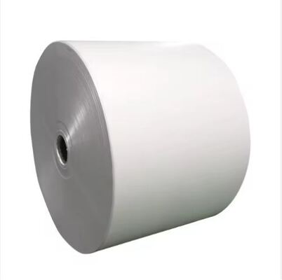 comprar Rollo de papel recubierto en PE Resistente al aceite Grado de alimentos1-7 Colores Diseño personalizado online manufacture