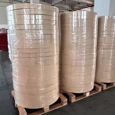 ซื้อ ม้วนก้นถ้วยกระดาษเยื่อไม้บริสุทธิ์ 100% เคลือบ PLA ชั้นเดียวหรือสองชั้น online manufacture