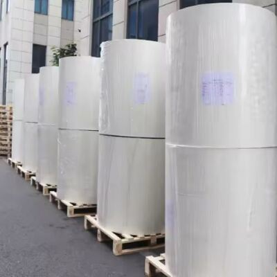 kupować Fabryczna hurtowa rolka papieru powlekanego PLA wykonana z pierwotnej pulpy drzewnej online manufacture