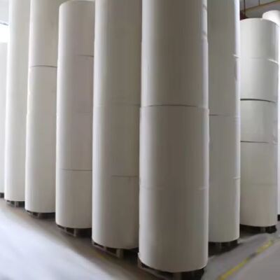 comprar Rollo de Papel Recubierto de PLA de Alto y Normal Gramaje con Recubrimiento de PE Diseñado a Medida online manufacture