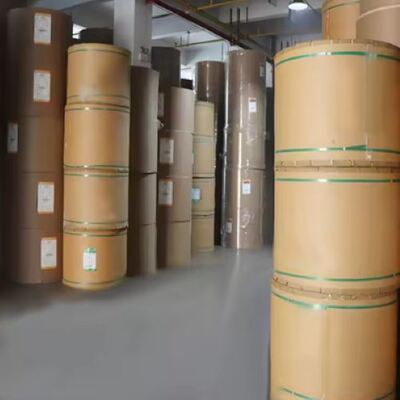 kopen Biologisch afbreekbare PLA gecoate papieren rol voor voedselverpakkingen en wegwerpbekers online manufacture