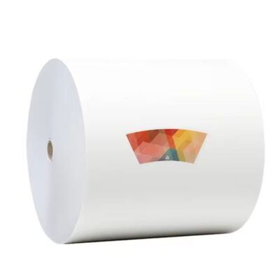 kupować Ekologiczne drukowanie papieru powlekanego PLA online manufacture