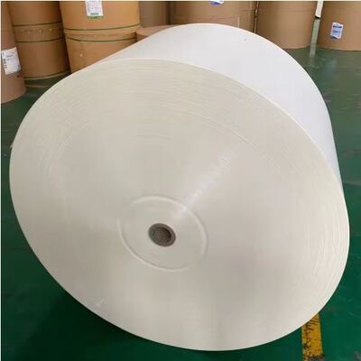 comprare 1-7 Colori Accettano Rotolo di Carta Rivestito in PLA Personalizzato Impermeabile online manufacture