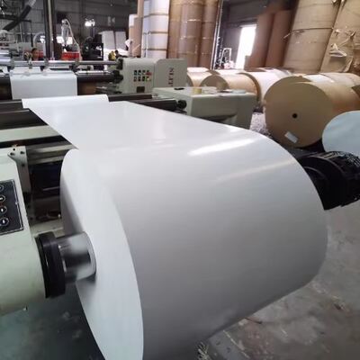 comprare Prodotti di fabbrica di carta rivestita con un rivestimento in PLA Degradabile per la fabbricazione di tazze e ciotole online manufacture