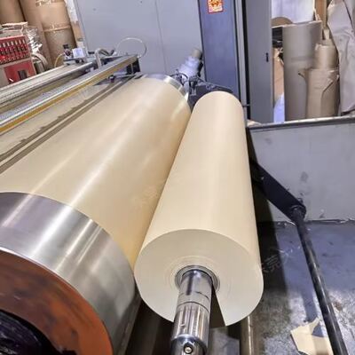 kupować Kompostowalny biodegradowalny papier powlekany PLA w rolce do kubków papierowych dla handlu detalicznego lub hurtowego online manufacture