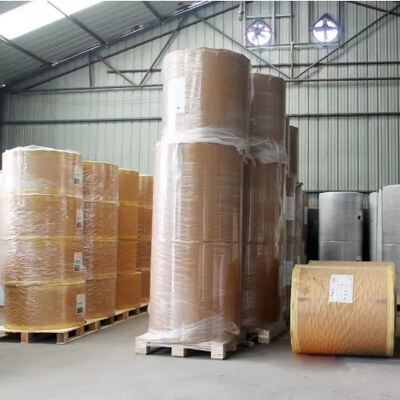 Beli Bahan Baku Gulungan Kertas Berlapis PLA Cocok untuk Kemasan Layanan Makanan online manufacture