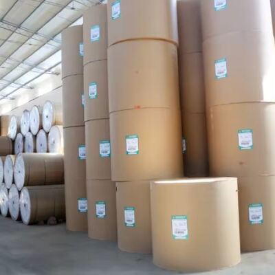 comprare 6oz 8oz 10oz 12oz di carta rivestita in PLA eco-compatibile 1-7 colori online manufacture