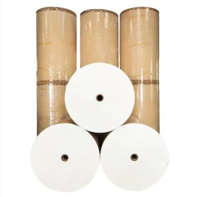 কেনা পিএলএ লেপযুক্ত কাগজ রোল 150-350GSM কাঠমুক্ত অফসেট কাগজ মুদ্রণ online manufacture