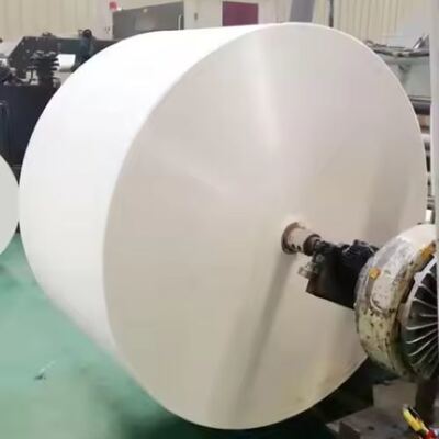 buy Sustainable Compostable PLA Coated Paper Roll Used for Food Grade Disposable Cups online manufacture