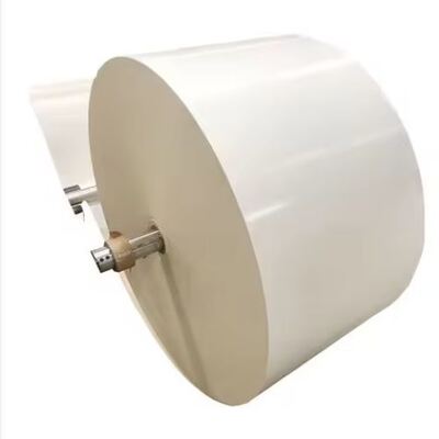 acheter Rouleau de papier couché PLA pour emballage alimentaire et vaisselle jetable online manufacture