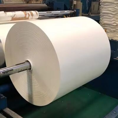 kaufen Biologisch abbaubares PLA-beschichtetes Papierrolle Hohe Qualität für die Herstellung von Pappbechern online manufacture