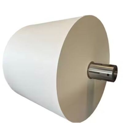 comprare Certificazione FSC Rollo di carta rivestita con PLA compostabile con parete di un solo o due lati online manufacture