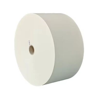kopen Hoge oliebestendigheid 5OZ 6OZ 7OZ 8OZ PLA gecoate papierrol met enkelzijdige coating online manufacture