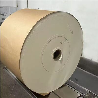 acheter Rouleau de papier couché PLA 150 à 350 g/m² Matière première papier biodégradable online manufacture