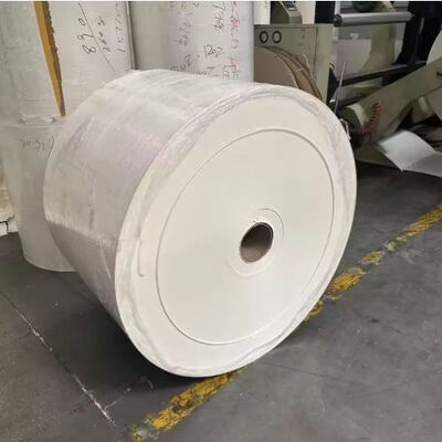 acheter Rouleau de papier couché PLA de qualité alimentaire compostable pour gobelets en papier pour café et thé online manufacture