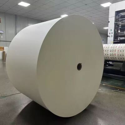 buy Heat Insulation Factory Direct Supply PLA Coated Paper Roll online manufacture