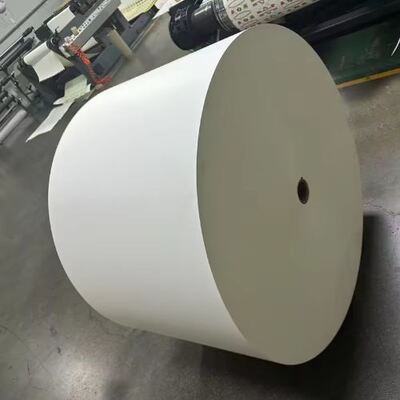 Mua Rulô Giấy PLA Chống Thấm Nước Giải Pháp Đóng Gói Thực Phẩm Tái Tạo Phân Hủy Sinh Học online manufacture