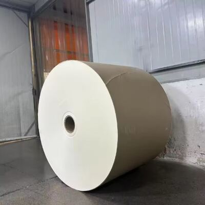satın al PLA Kaplamalı Kağıt Rulo Yüksek Hacimli Kompostlanabilir Biyobozunur Ham Madde online manufacture