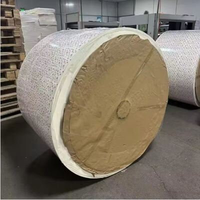 kupować Rolka papieru powlekanego PLA o gramaturze od 135 g/m² do 350 g/m², 100% czystej masy celulozowej online manufacture