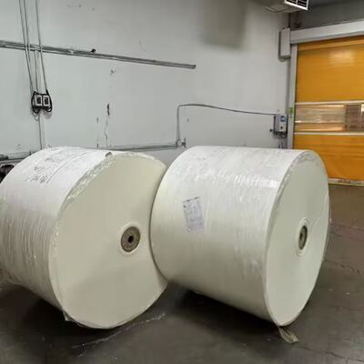 Mua Bao bì thực phẩm Chứng nhận FSC Cuộn giấy phủ PLA có khả năng phân hủy sinh học online manufacture