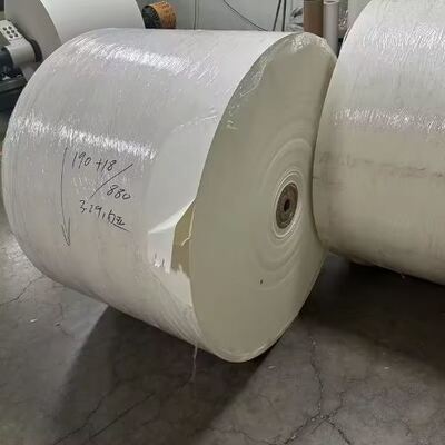 comprare Rotolo di carta patinata in PLA per stampa offset con stampa da 1 a 7 colori online manufacture