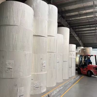 satın al Sıcak veya soğuk fincan için komposta edilebilir kondansiyon kontrolü PE kaplı kağıt rulo online manufacture