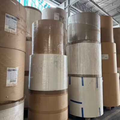 comprare 180 a 350 GSM PE rivestito di carta per imballaggio alimentare online manufacture