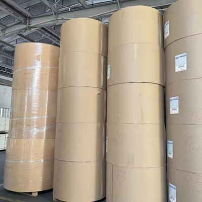 kaufen FSC-Zertifizierung Fabrik Warmverkauf PE beschichtete Papierrolle online manufacture