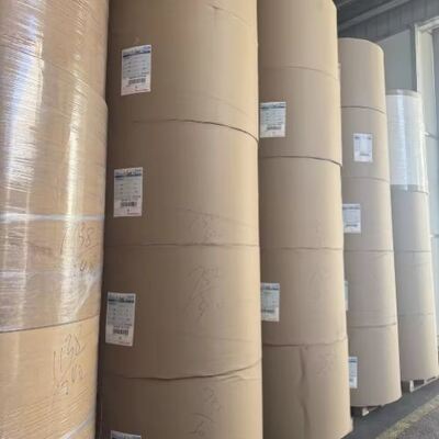 satın al FSC Çevre dostu PE kaplı kağıt rulo ve mükemmel yağ dayanıklılığı online manufacture