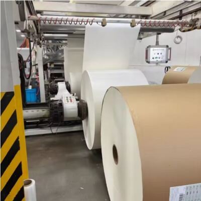 Beli Cina Desain Baru Offset Printing PE Coated Paper Roll Waterproof online manufacture