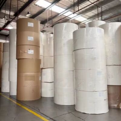 comprar Rolo de papel revestido em PE de diferentes cores ou branco de qualidade alimentar online manufacture