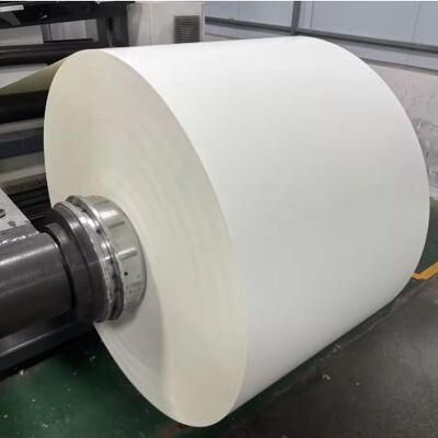 acheter Vente à chaud Ruloir de papier enduit en PE à l'un des côtés chaud ou froid jetable online manufacture