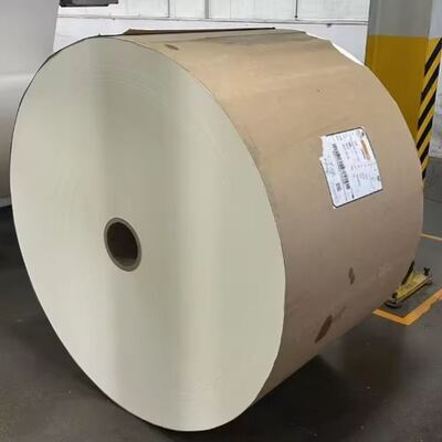 comprare Prezzo ragionevole Carta rivestita in PE di alta qualità online manufacture