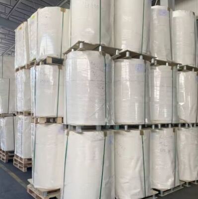 Mua 150GSM-350GSM High Bulk Normal Bulk Paper Cup Bottom Roll Không thấm nước online manufacture