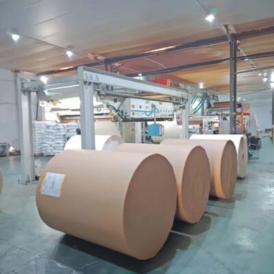 kopen FSC-certificering PE-gecoat papierrol Warmteisolatie Waterdicht online manufacture