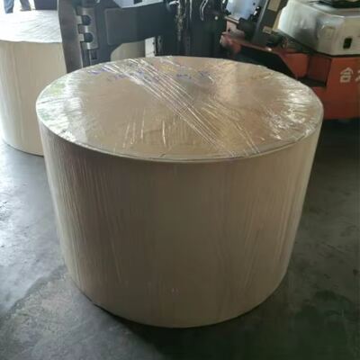 buy Various Colors Factory Wholesale PE Coated Paper Roll Compostable online manufacture