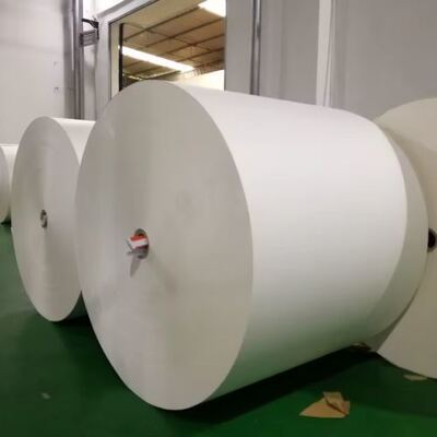 Αγορά Υψηλής ποιότητας Hot Selling Paper Coated Paper Roll Paper Protection Needs online manufacture