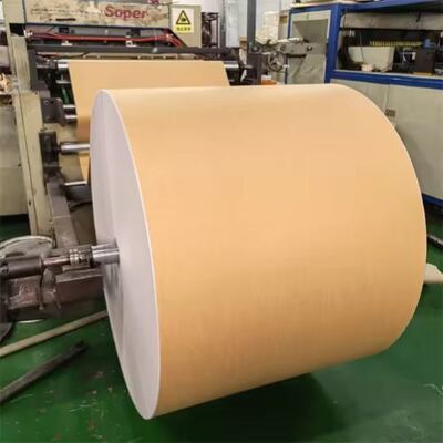 comprar Rollo de papel recubierto de PE de doble pared de precio competitivo que ofrece una resistencia superior al aceite online manufacture