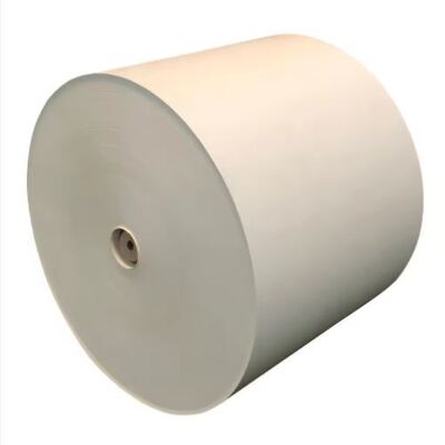 comprar Buena calidad OEM ODM Venta caliente de papel revestido con PE Rollo a prueba de aceite online manufacture