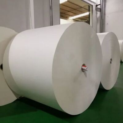 kaufen 6 Farben Flexodruck PE beschichtetes Papier Rollen Fabrik Bestseller online manufacture