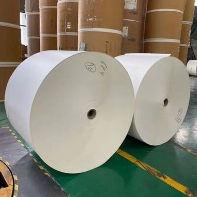 Mua Nhãn hiệu tùy chỉnh 1 lần dùng Cup giấy nguyên liệu 6oz 8oz 10oz PE phủ giấy cuộn online manufacture