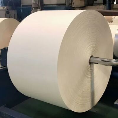 購入 第1級 150-350GSM 売れているペーコーティング紙ロール online manufacture