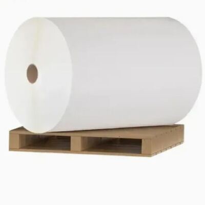 kopen Watergebaseerde offsetdrukpapierbeker grondstof PE-gecoate papierrol online manufacture