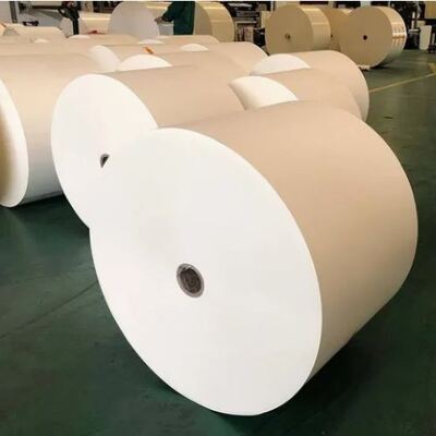 購入 6オンス 8オンス 10オンス 環境に優しい パーソナライズされたPEコーティング紙ロール 油性 online manufacture